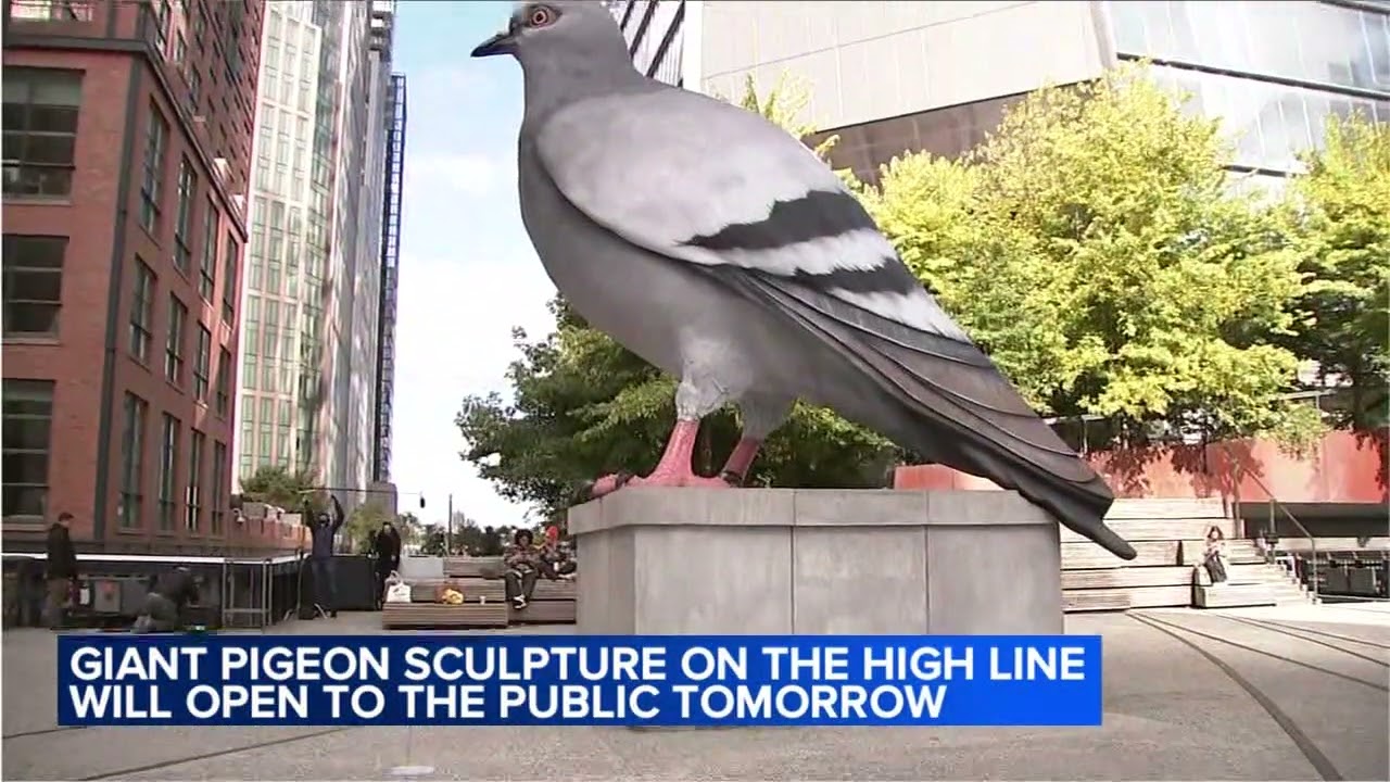 Giant pigeon sculpture on the High Line will open to the public tomorrow