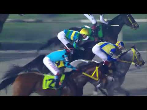 220805 c08 COLOSSEUM