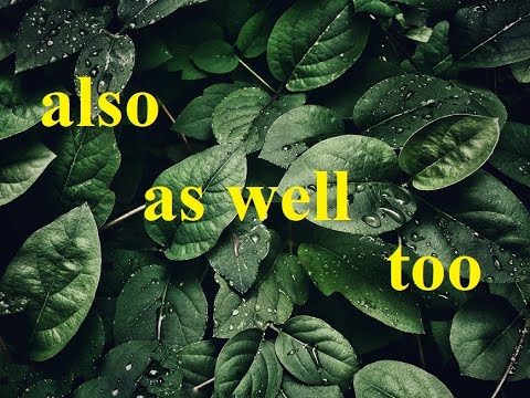 Also / As Well / Too ✋🙋‍♂️