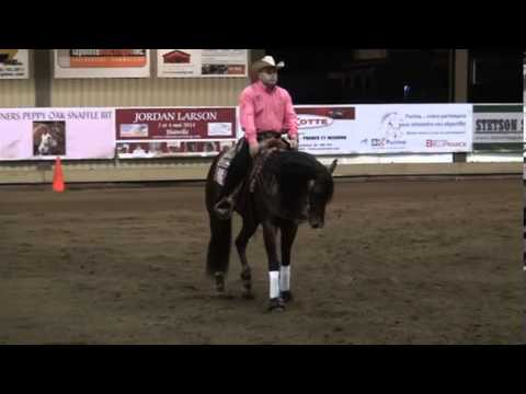 THE WIZSTER ,Dany Tremblay Pink Ruban 2013 Futurity