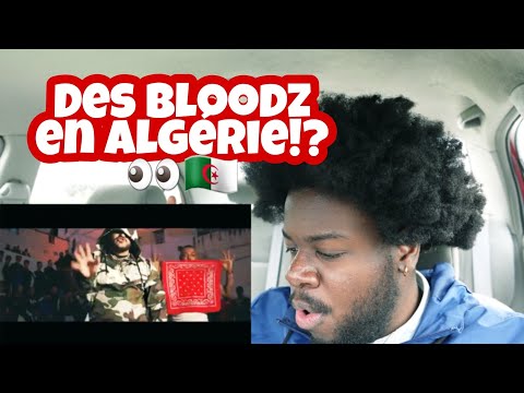 Trap King x D black - Gang {REACTION} +18 ans Explicit Lyrics