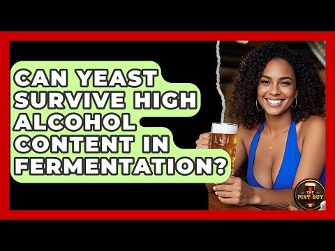 Can Yeast Survive High Alcohol Content in Fermentation? | The Pint Guy