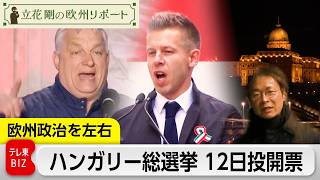 欧州政治を左右するハンガリー総選挙 12日投開票【立花剛の欧州リポート】