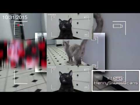 YTPMV Sylvester's Diary 7 - Sylvester Goes To Hell SCAN