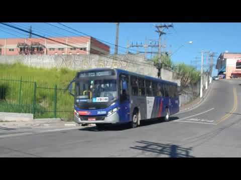 Movimentação de ônibus: Francisco Morato/SP