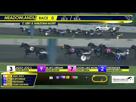 July 15, 2023 - E.T. Gerry Jr. Hambletonian Maturity - Race 6