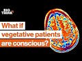 1 in 5 vegetative patients is conscious. This neuroscientist finds them. | Big Think x Freethink