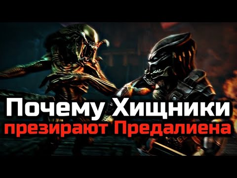 ПОЧЕМУ ХИЩНИКИ ПРЕЗИРАЮТ ПРЕДАЛИЕНА (ЧУЖЕХИЩНИКА)