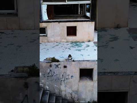 Casino de Necochea | Arquitectura, lujo y memoria