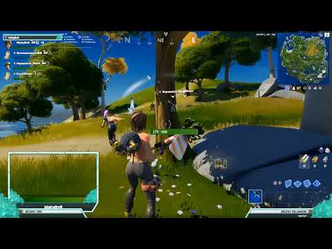 Matyáš Skácel fortnite stream