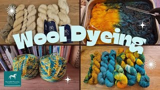 🧶  Lets dye some wool together - Spend an afternoon with me 🧶