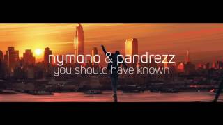 nymano x pandrezz - you should have known » lofi hip-hop & chill beats