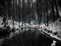 River of sorrow - Antony and the Johnsons ...