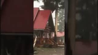 Download lagu mengerikan detik-detik petir menyambar pohon mp3