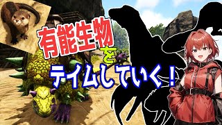 【ARK】バ美肉おばさん、恐竜の世界を駆け抜ける！#3【Ark: Survival Evolved】