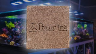 Download lagu Rebuilding Our Bio-Filtration with PolypLab Genesis Blocks mp3