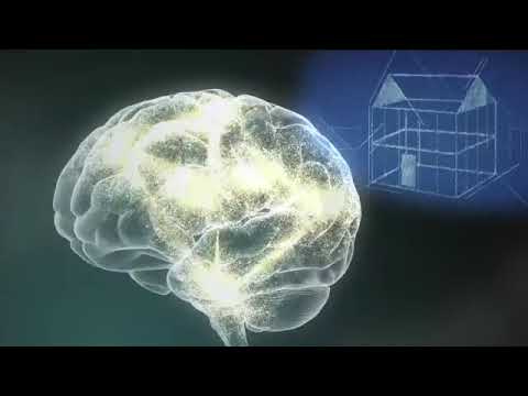 Como as telas prejudicam o cérebro