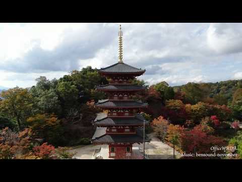 みやづの秋　(4K画質)　Autumn of Miyazu (4K image quality).　DRONE DJI MAVIc 2 zoom