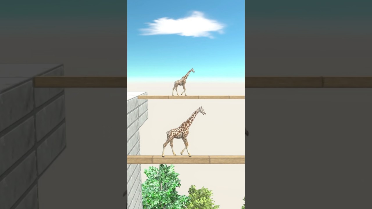 ARBS challenge. If you fall, you're out. Cross the bridge. Giraffe edition!