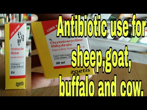 Benefits of terramycin la/ veterinary medicine