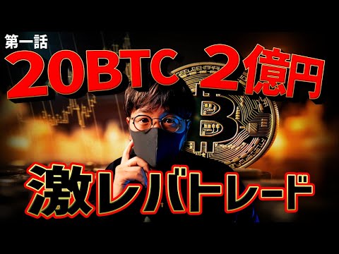 ビットコインは「バカ」のもの – 専門家が壊滅的な評決を下す