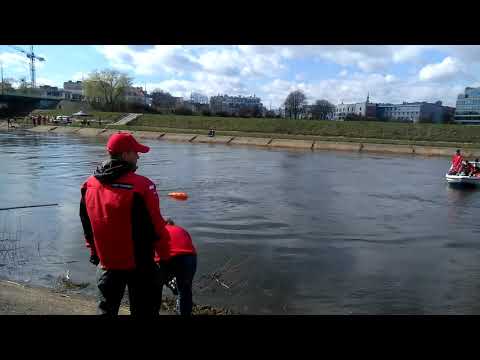 Morsy Swarzędz 16.03.2019r Przepływanie Warty