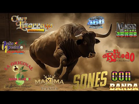 Los Mejores Sones Con Banda 2024 - Banda Jerez, Chuy Lizarraga, Banda El Recodo, Banda MS