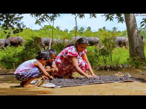 Mung Milk Rice cooking and Mun bean Aggala recipes | mali village life