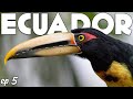 Where We Stayed in MINDO, ECUADOR - Tips for Bird Photographers