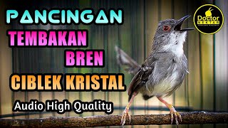Download lagu PANCINGAN TEMBAKAN CIBLEK KRISTAL ASLI GACOR, COCOK UNTUK MASTERAN MURAI BATU DAN KONIN BAHAN mp3
