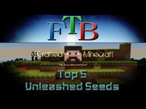 Feed the Beast Unleashed - Top 5 Seeds