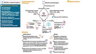 NSAIDs & Acetaminophen Pharmacology by Ditki, Medical & Biological Sciences