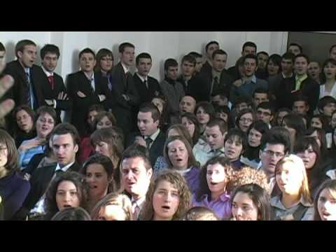 Doar o coliba _Congresul National Amicus Stupini 14-16 noiembrie 2008