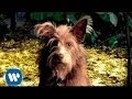 Josephine Collective - Living (Video) 