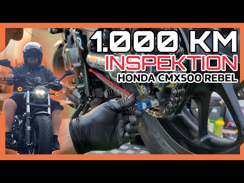 Keep your bike in top condition: 1,000 km inspection by a master mechanic • Popko does MORE!