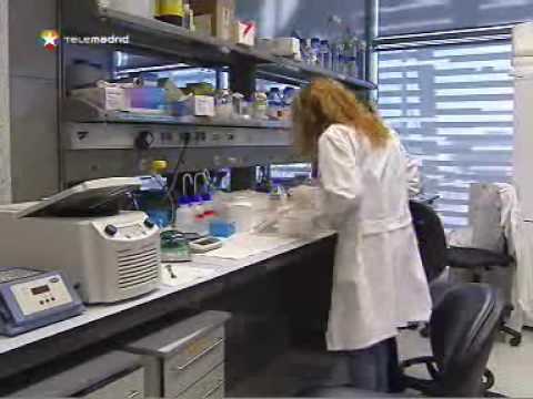 Un estudio revela cómo el hachís afecta directamente a la memoria