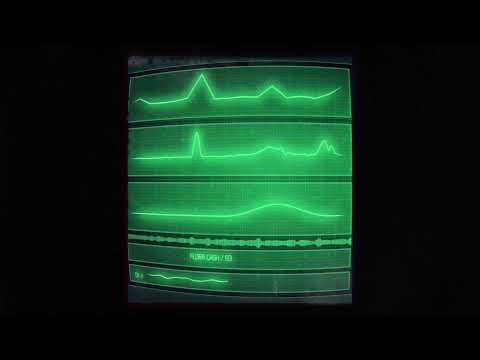 flora cash - 93 (Visualizer)
