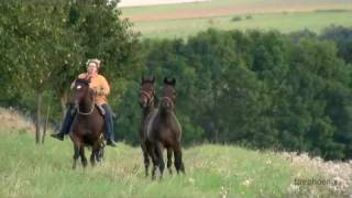 preview picture of video 'Mit Pferden sein....amazing and wonderful horses'