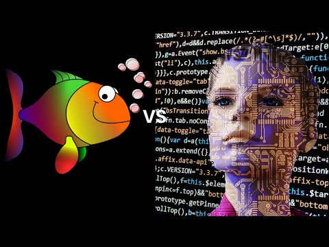 Una estenuante battaglia siciliana Najdorf tra Stockfish e Leela - TCEC Round 35 - Super Finale 2019