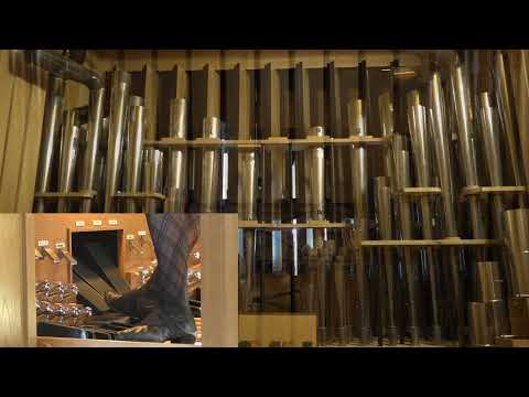 Buzard Op. 31 in action