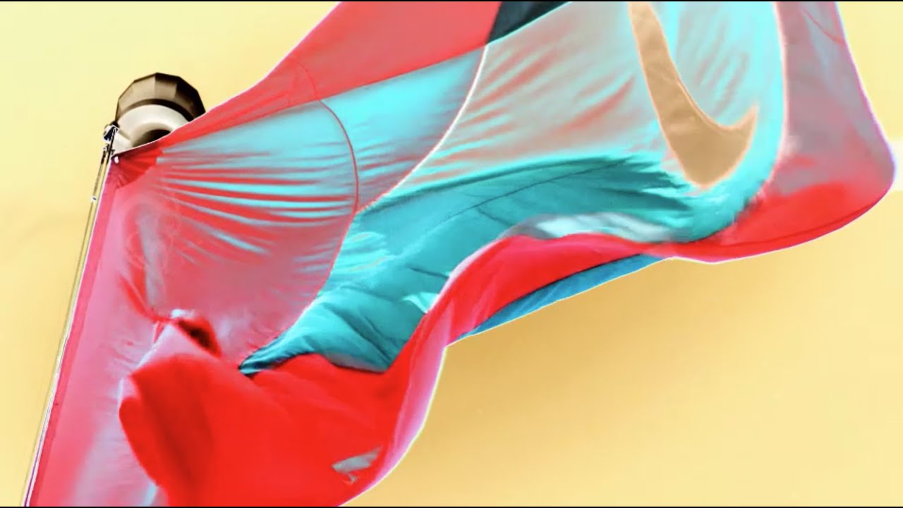 "ސްޓީލިން ޕެރަޑައިސްގެ"ގެ ޓީޒާ އާއްމުކޮށްފި