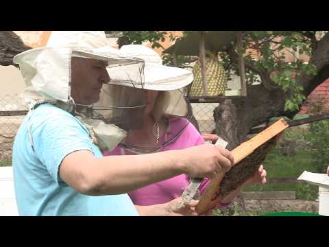 Boja meda ep. 63 21.05.2019. NAJAVA