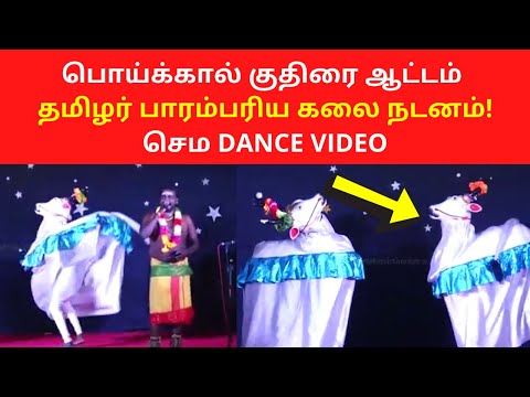 Poikkaal Kuthirai Aattam பொய்க்கால் குதிரை ஆட்டம்  - Tamil Traditional Cultural Dance