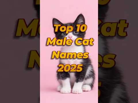 Top 10 Male Cat Names 2025 🐱🔥 | Best Cat Names for Boys! #shorts #catnames #petnames #namaste
