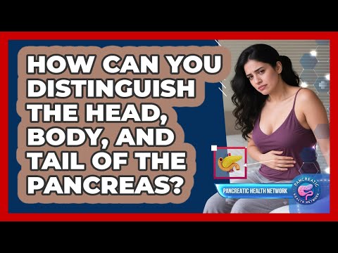 How Can You Distinguish The Head, Body, And Tail Of The Pancreas? - Pancreatic Health Network