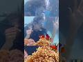 Ighane Aan Scuba Dive Enn Vicharichillaa 🪸 Thejathangu Shorts
