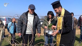 Лозари от Узунджово честваха празника Трифон Зарезан край местните масиви
