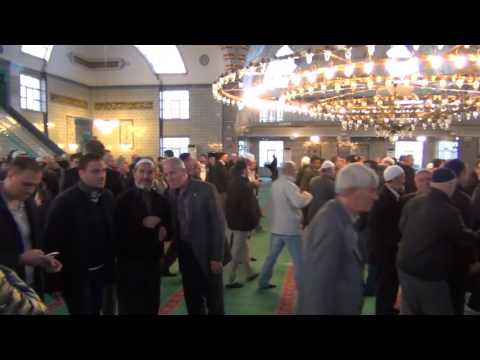 27-fish me shume sevape.Kujdes mos e nenvlereso