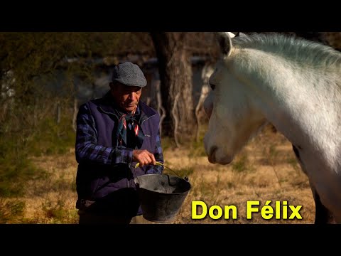 255 Paraje Villa Dorita, Concarán (San Luis) - Estancias y Tradiciones