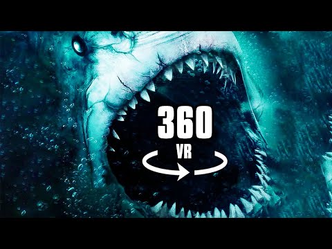 360° Video SHARK ATTACK!! - VR EXPERIENCE